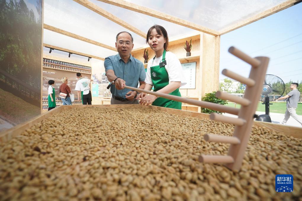 正规现金炸金花